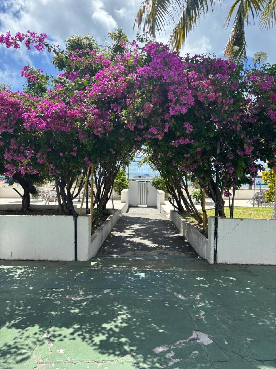 Apto 3 Quartos Pe Na Areia Prox De Recife Exterior foto